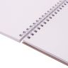 Скетчбук, белая бумага 120 г/м2, 205х290 мм, 40 л., гребень, жёсткая подложка, BRAUBERG ART DEBUT, 110984