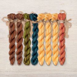 НМул-ИМЧ170-2282-5 Набор ниток OwlForest для схем «Индейские мотивы» (ПНК) 5 цветов «Черепаха» 28 каунт в 2 нити