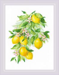 2054 Набор для вышивания Риолис «Яркие лимоны»