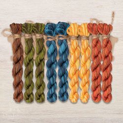 НМул-ИМЯ171-3322-5 Набор ниток OwlForest для схем «Индейские мотивы» (DMC) 5 цветов «Ящерицы» 32 каунт в 2 нити