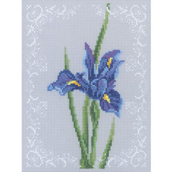 Набор для вышивания крестом РТО "Синий ирис" С155