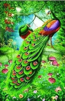 Картина по номерам Paintboy "Павлины" GX8187