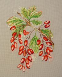 04.009.18 Набор для вышивания Марья Искусница "Ягоды барбариса"
